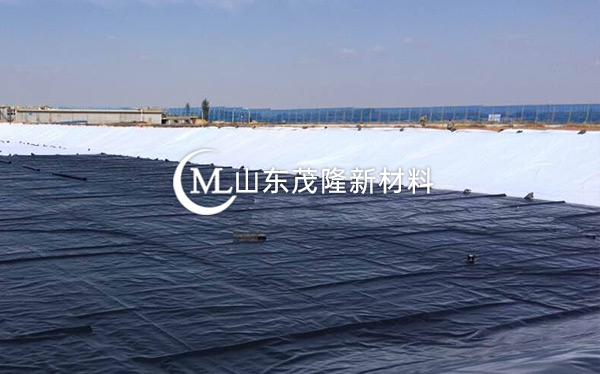 《衡水主城區生態修復工程》土工布、復合土工布施工