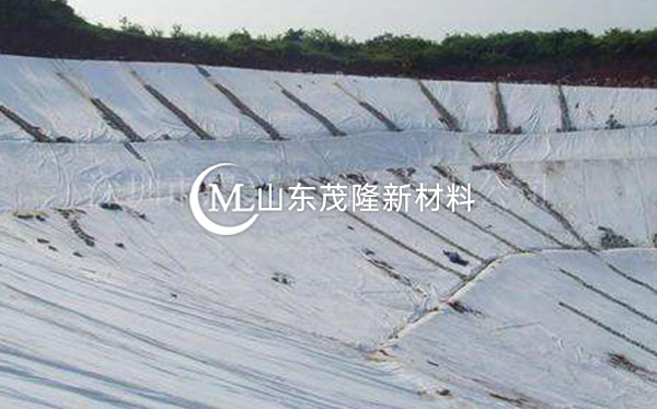《東平湖生態防護林建設項目》復合土工膜施工