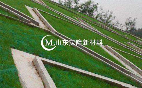 《都勻至安順公路項(xiàng)目》土工格柵、三維植被網(wǎng)施工