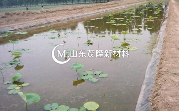 養(yǎng)殖用防滲膜產品演示圖1