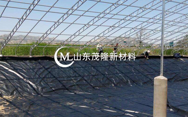 養(yǎng)殖用防滲膜產品演示圖2