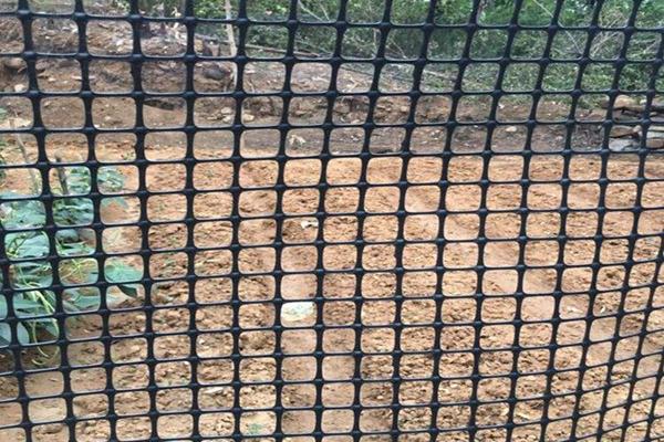 養(yǎng)殖用的土工格柵一般是多少克的？  第2張